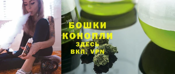 сатива Аркадак