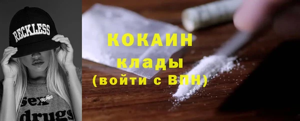 сатива Аркадак