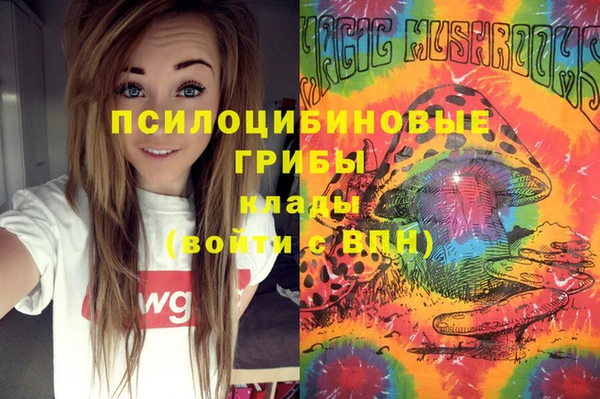 сатива Аркадак
