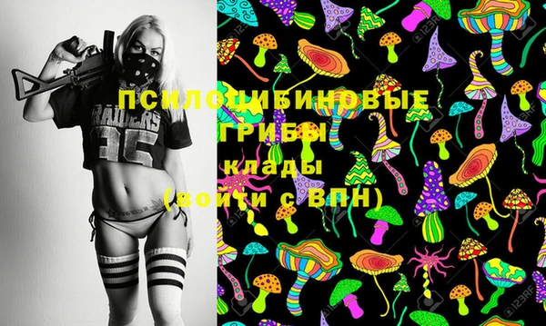 сатива Аркадак