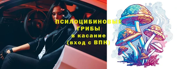mdpv Арсеньев
