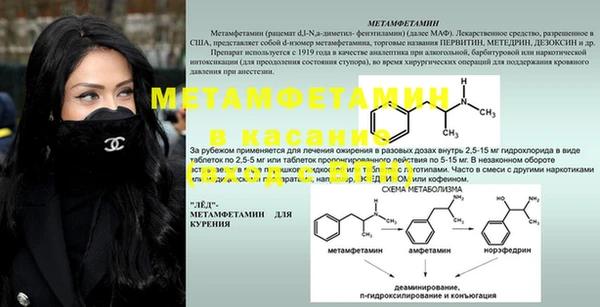 сатива Аркадак