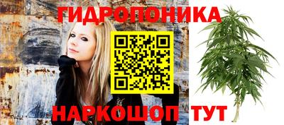 СК Абинск