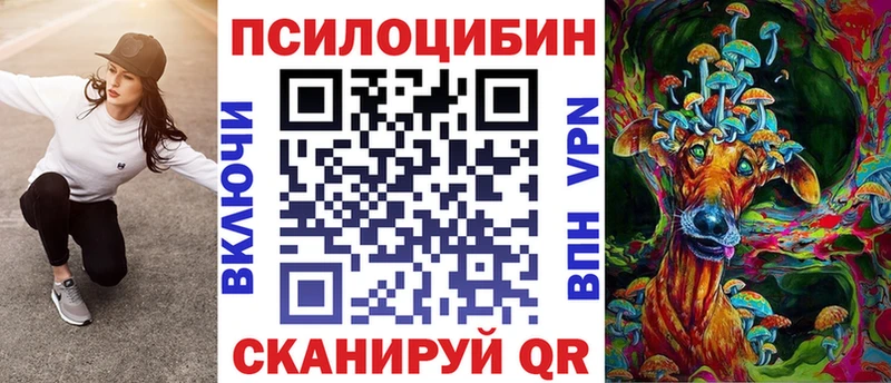 Псилоцибиновые грибы GOLDEN TEACHER  omg зеркало  Асбест  где купить наркоту 