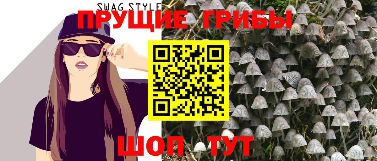 Асбест  Галлюциногенные грибы Cubensis  что такое   Вход с VPN 